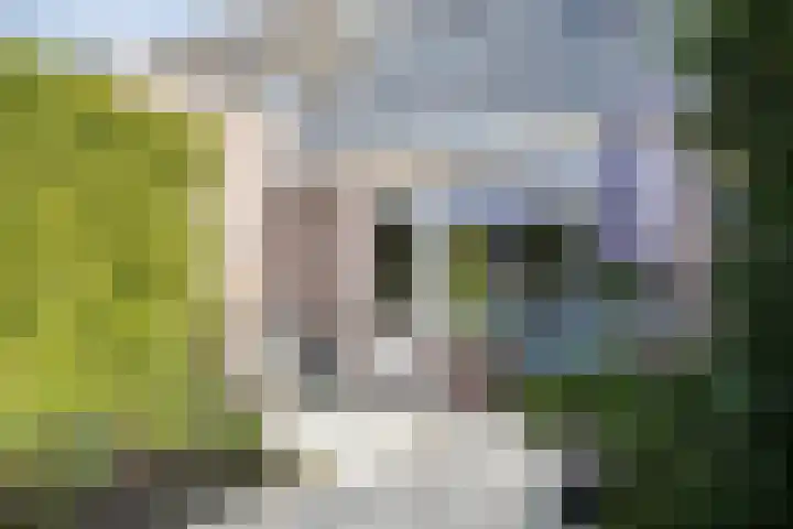 Benthuizenstraat 64 Tilburg thumbnail 31