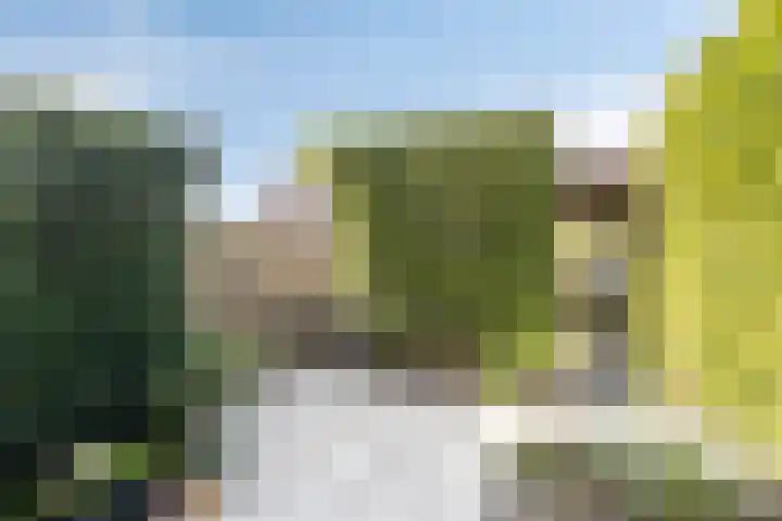 Benthuizenstraat 64 Tilburg thumbnail 32