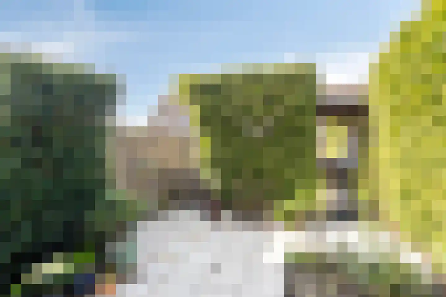 Benthuizenstraat 64 Tilburg thumbnail 32