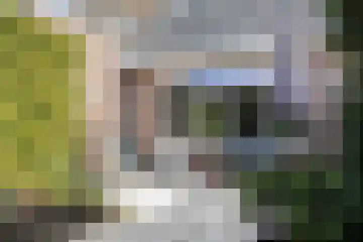 Benthuizenstraat 64 Tilburg thumbnail 33