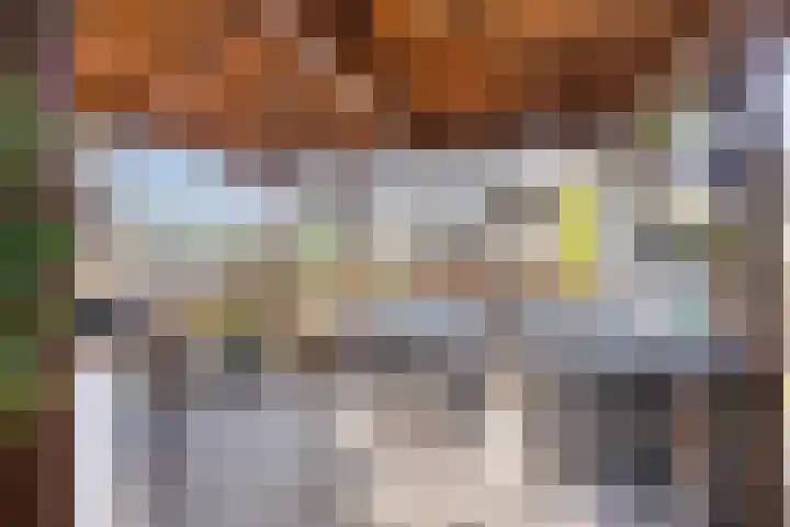 Benthuizenstraat 64 Tilburg thumbnail 34