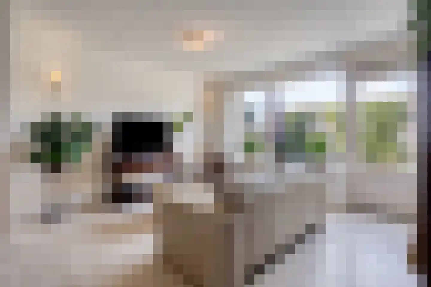 Benthuizenstraat 64 Tilburg thumbnail 4