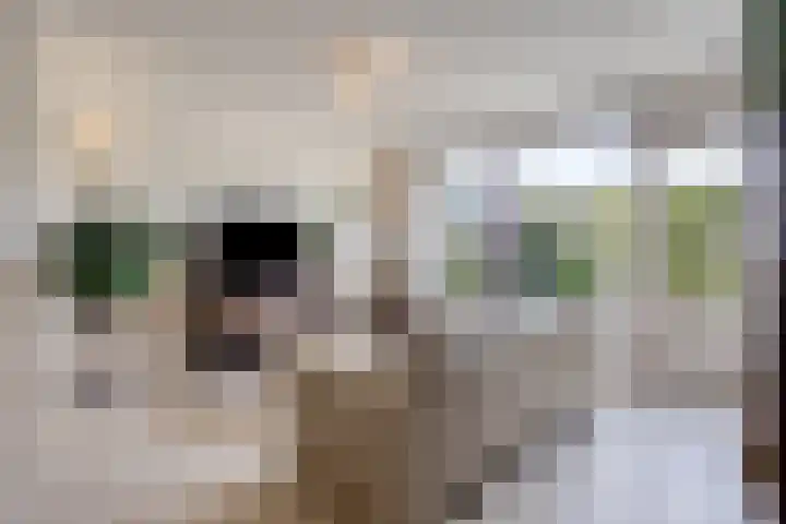 Benthuizenstraat 64 Tilburg thumbnail 4