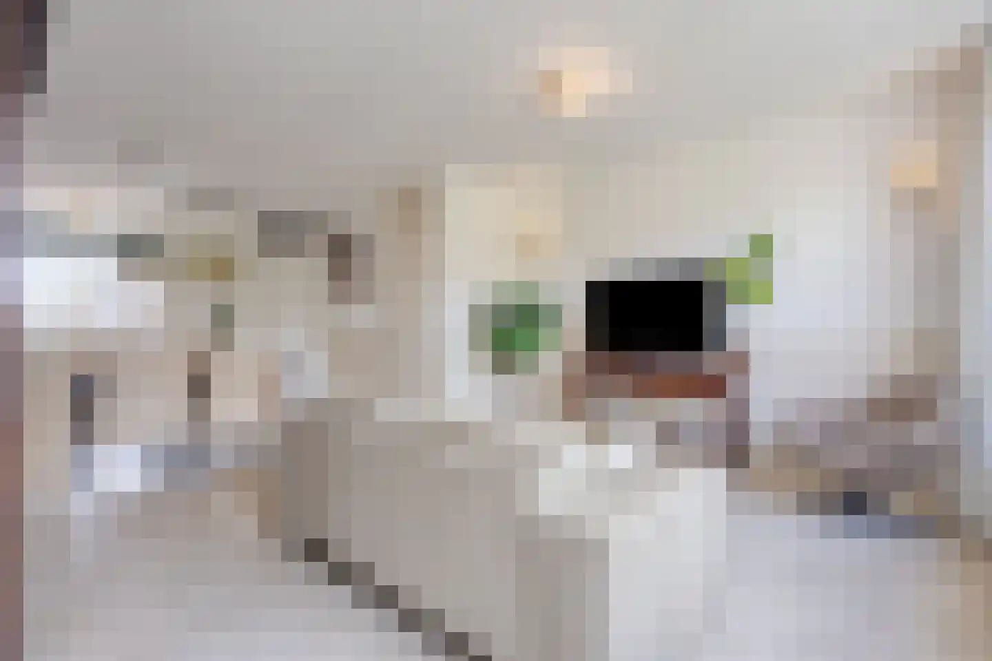 Benthuizenstraat 64 Tilburg thumbnail 5