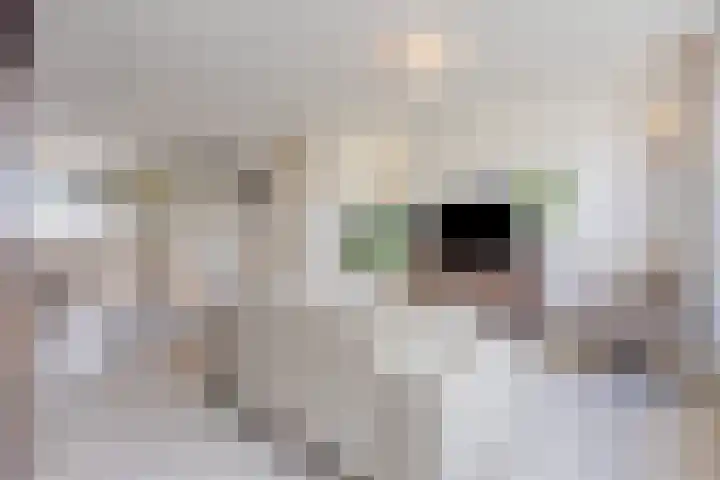 Benthuizenstraat 64 Tilburg thumbnail 5