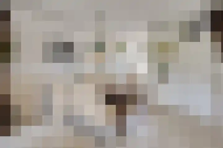 Benthuizenstraat 64 Tilburg thumbnail 7