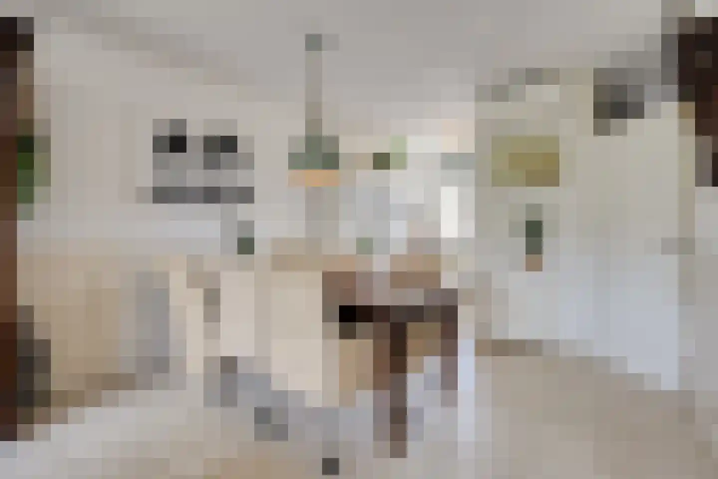 Benthuizenstraat 64 Tilburg thumbnail 7