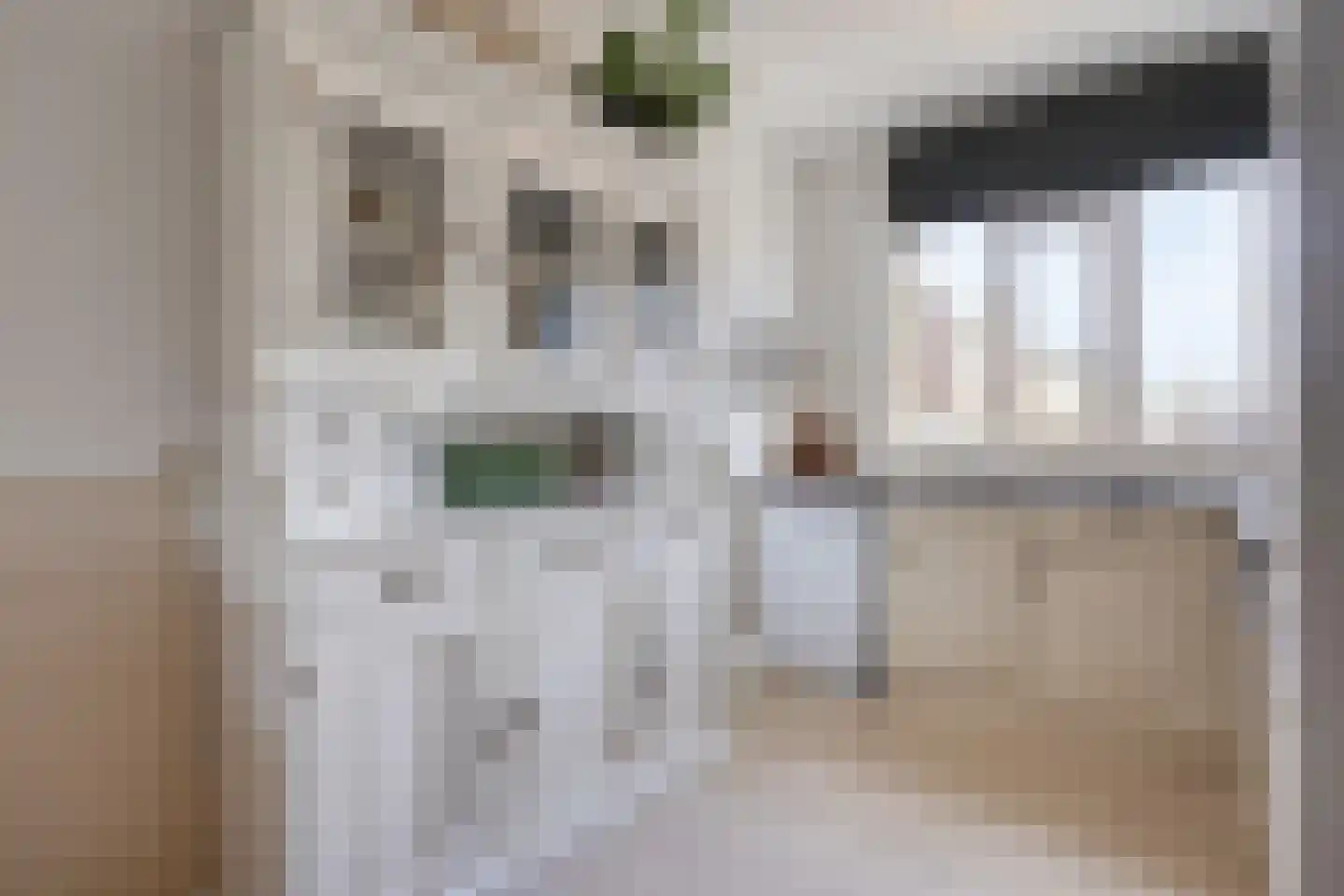 Benthuizenstraat 64 Tilburg thumbnail 9