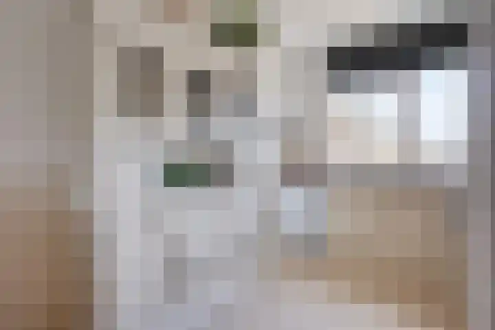 Benthuizenstraat 64 Tilburg thumbnail 9