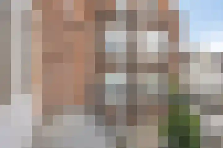 Benthuizerstraat 32 A Rotterdam thumbnail 16