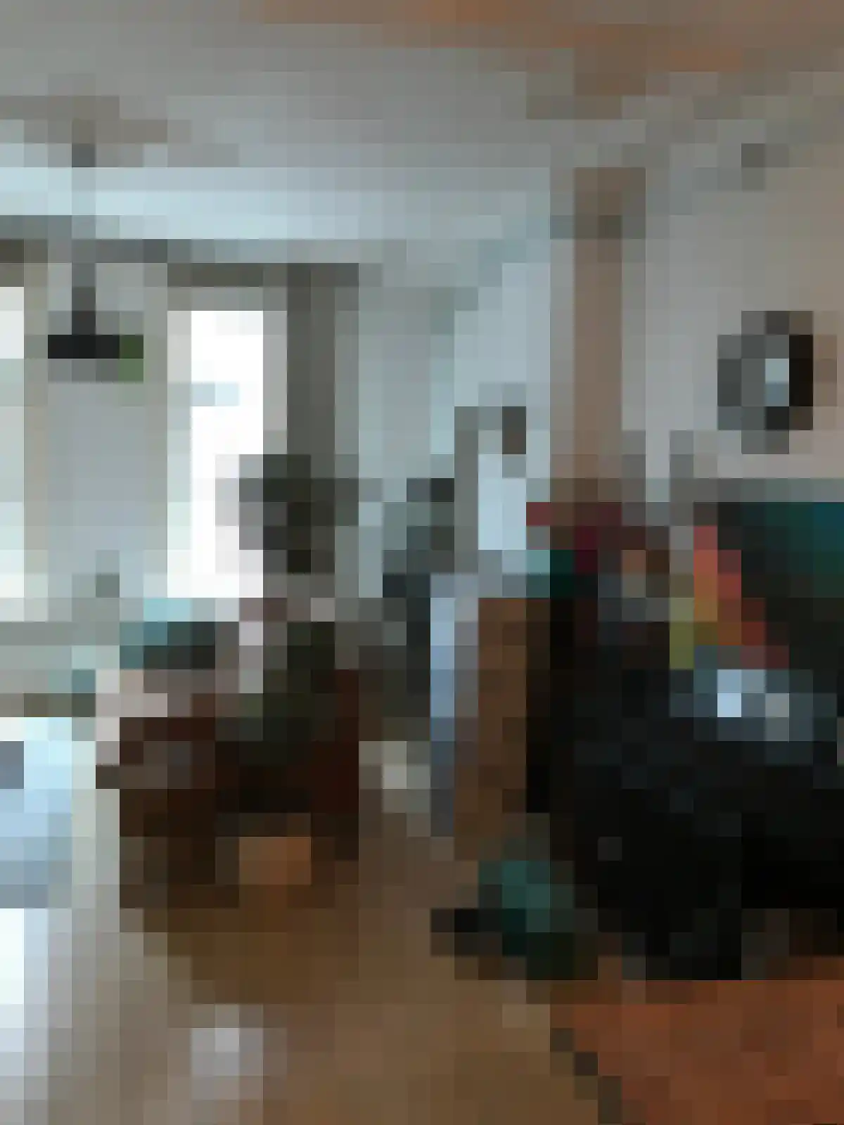 Benthuizerstraat 49 A 01 Rotterdam thumbnail 5