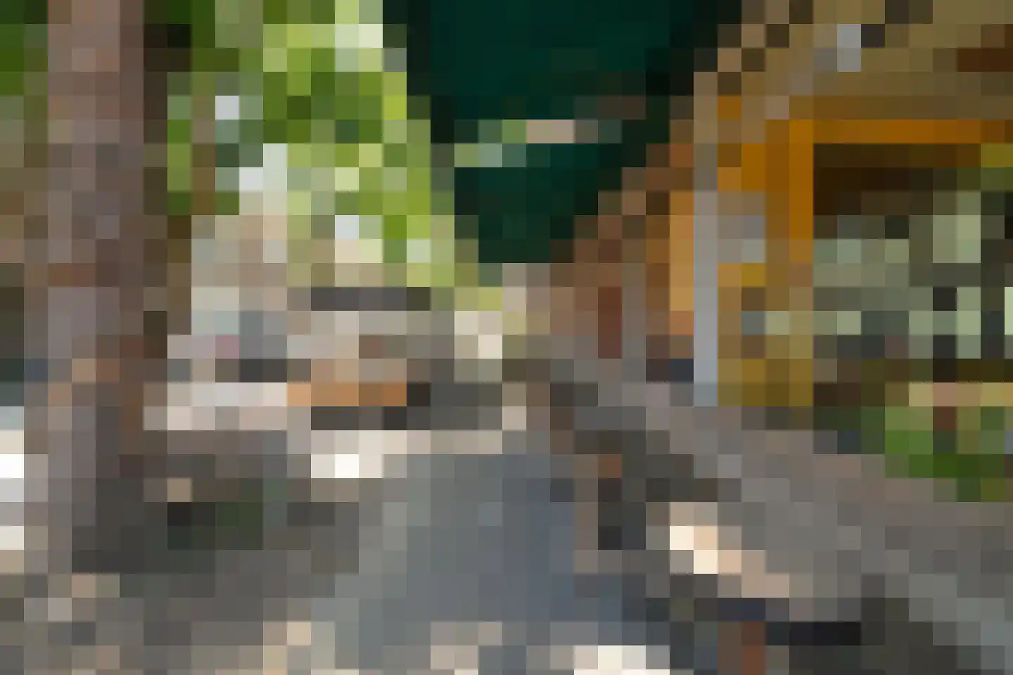 Benthuizerstraat 51 B 01 Rotterdam thumbnail 23