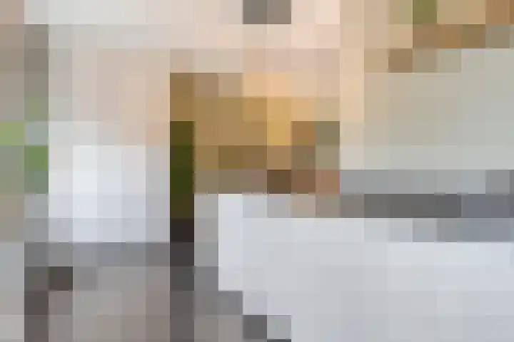 Bentincklaan 100 Barneveld thumbnail 11