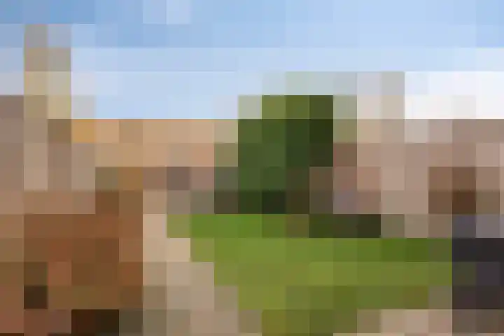 Bentincklaan 100 Barneveld thumbnail 24