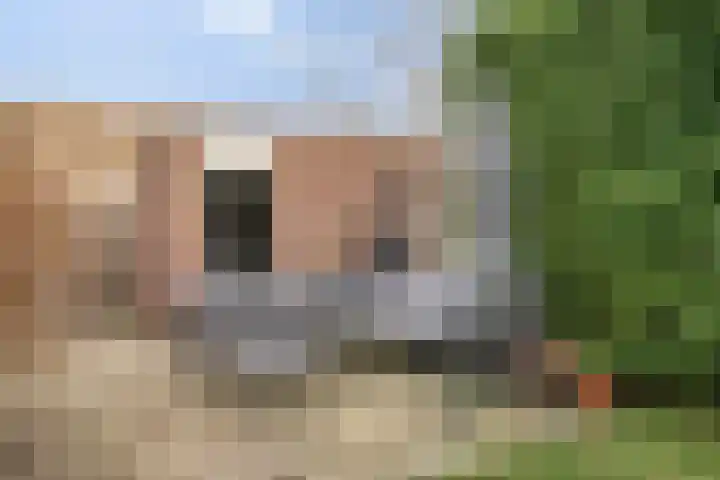 Bentincklaan 100 Barneveld thumbnail 26