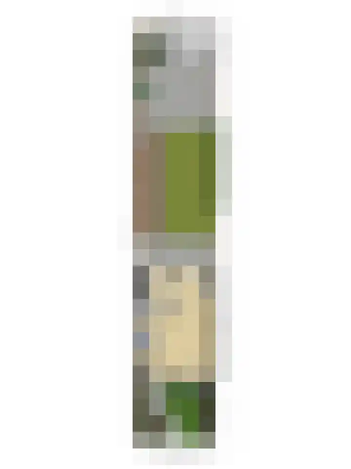 Bentincklaan 100 Barneveld thumbnail 33