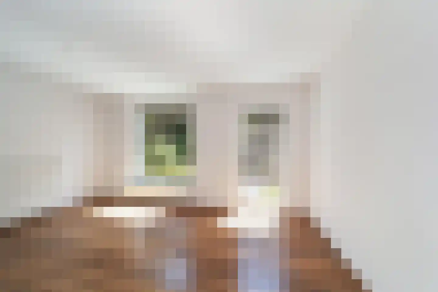 Bentincklaan 18 Doorwerth thumbnail 15