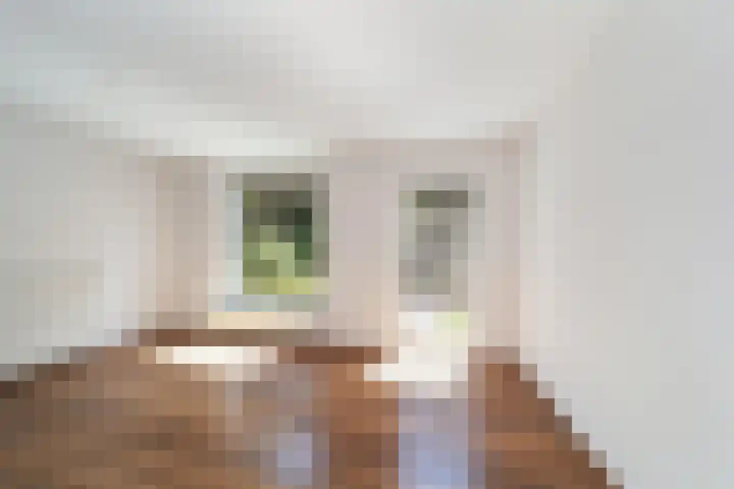 Bentincklaan 18 Doorwerth thumbnail 15