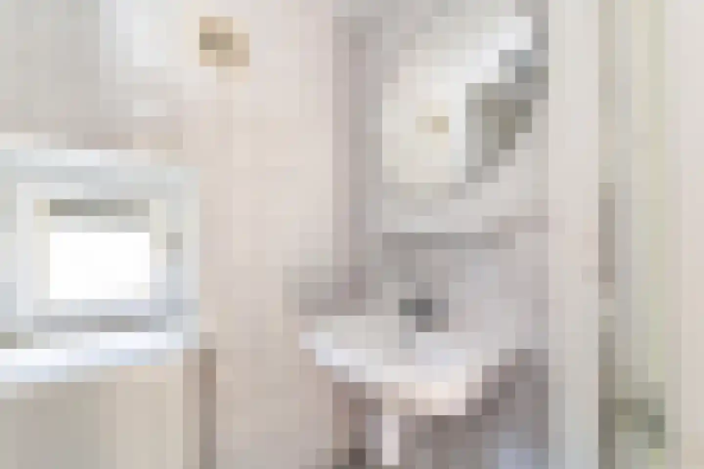 Bentincklaan 18 Doorwerth thumbnail 17