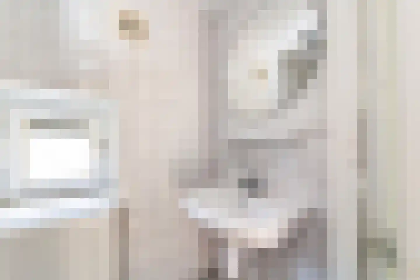 Bentincklaan 18 Doorwerth thumbnail 17
