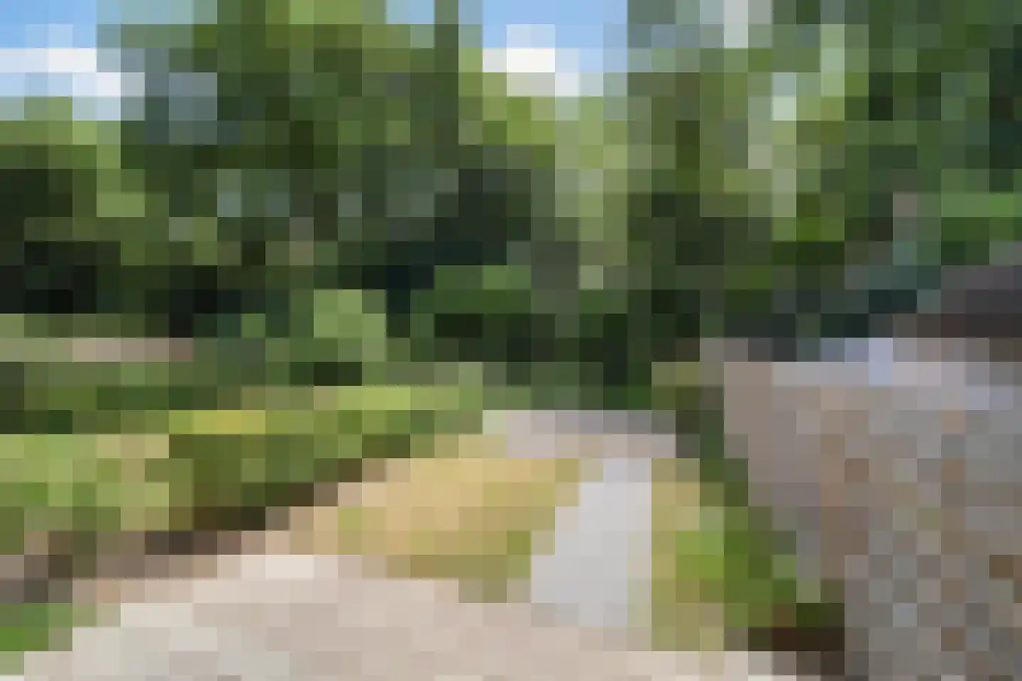 Bentincklaan 18 Doorwerth thumbnail 27