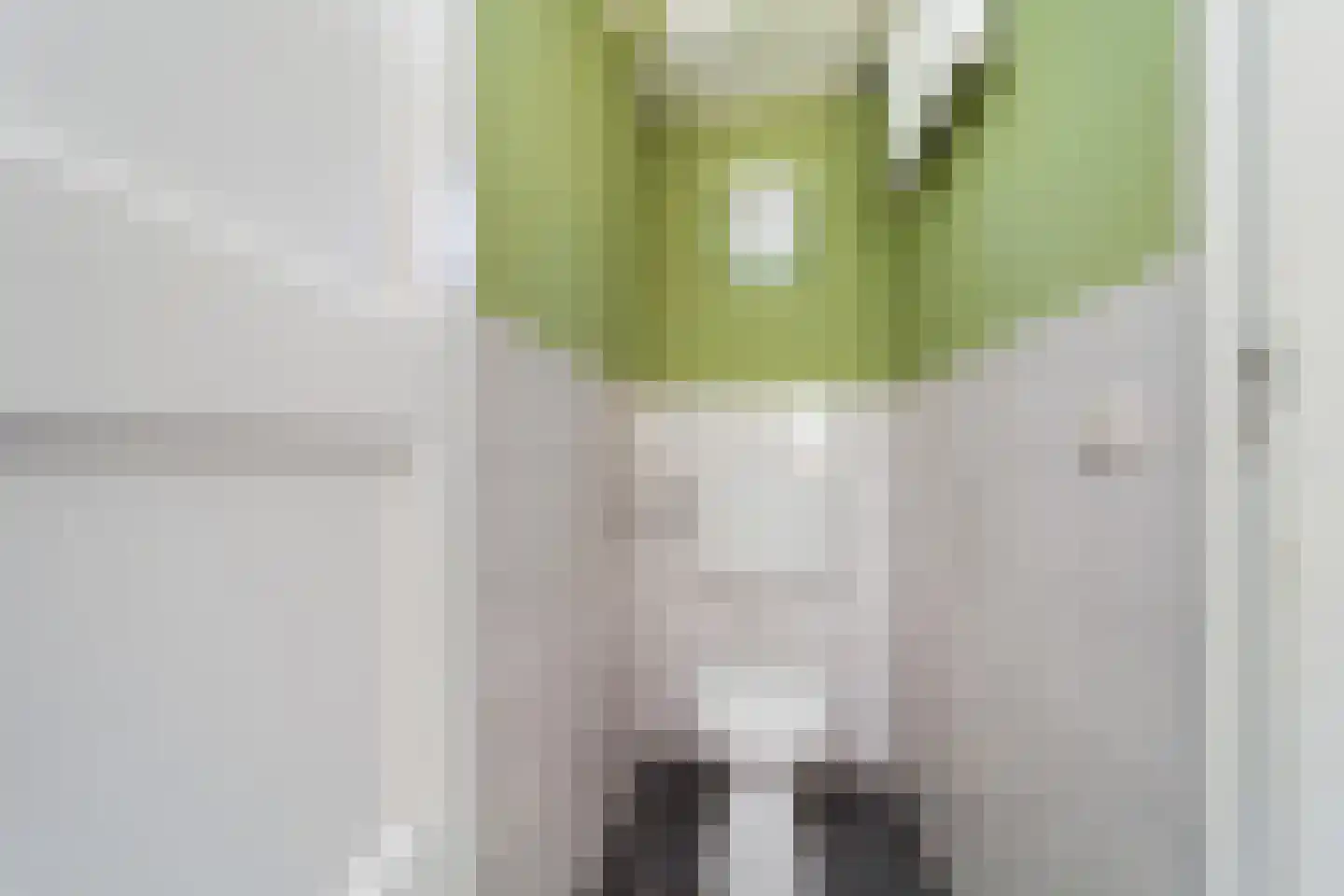 Bentincklaan 18 Doorwerth thumbnail 8