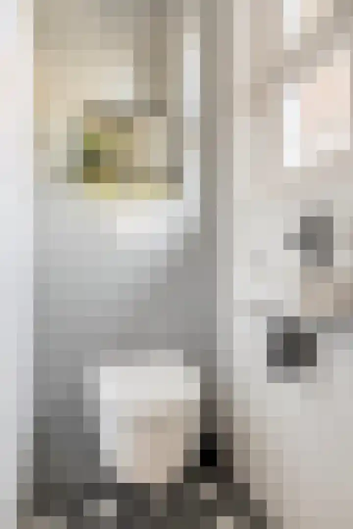 Bentincklaan 18 Leersum thumbnail 22