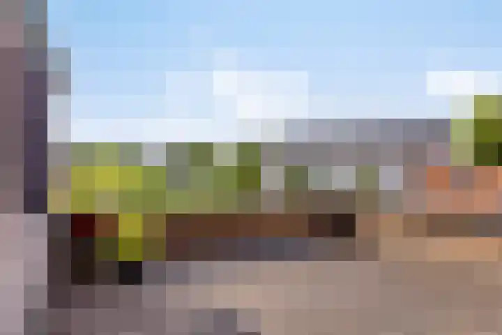 Bentincklaan 18 Leersum thumbnail 34