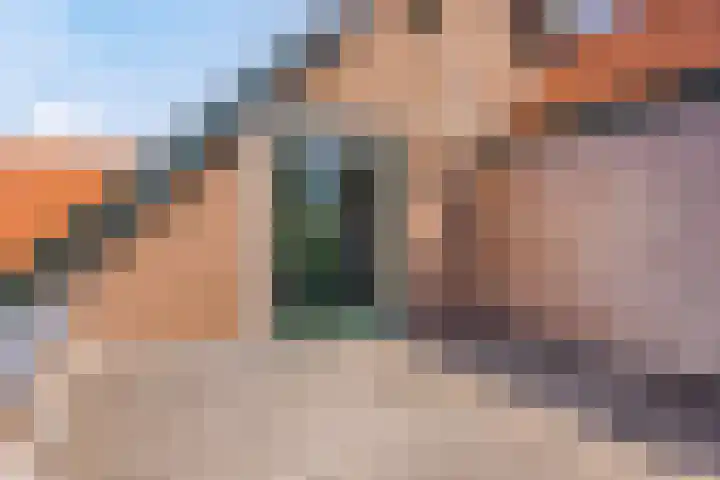 Bentincklaan 18 Leersum thumbnail 35