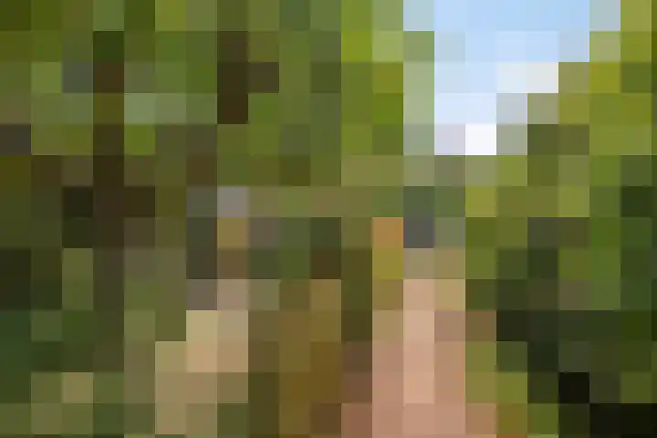 Bentincklaan 18 Leersum thumbnail 39