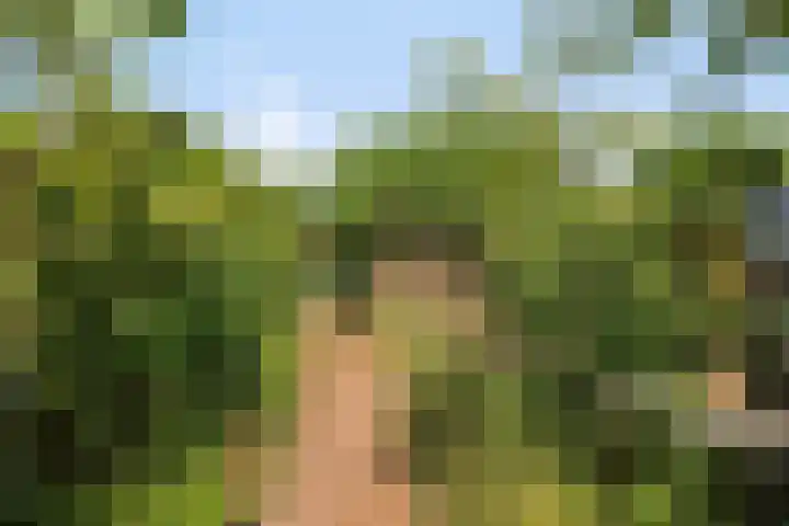 Bentincklaan 18 Leersum thumbnail 40