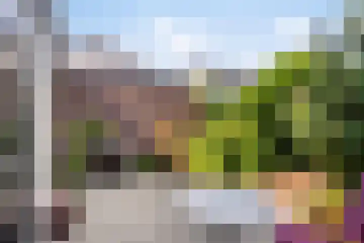 Bentincklaan 18 Leersum thumbnail 43