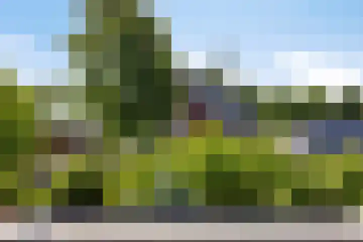Bentincklaan 18 Leersum thumbnail 45