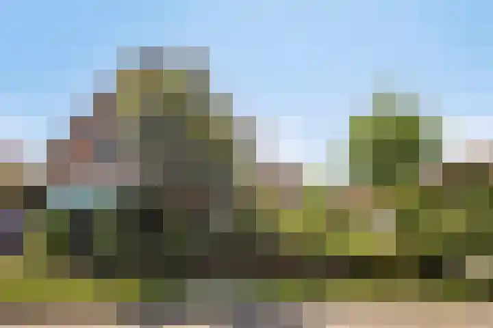 Bentincklaan 18 Leersum thumbnail 47