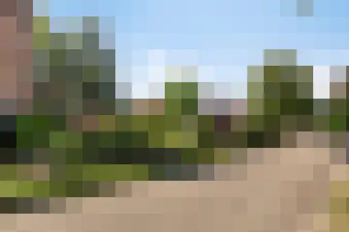 Bentincklaan 18 Leersum thumbnail 49
