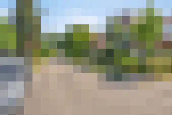Bentincklaan 18 Leersum thumbnail 50