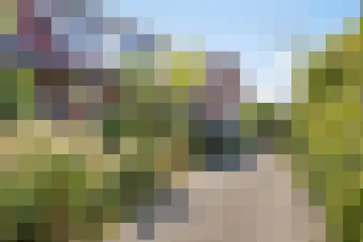 Bentincklaan 18 Leersum thumbnail 6