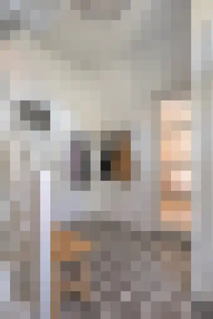 Bentincklaan 18 Leersum thumbnail 8