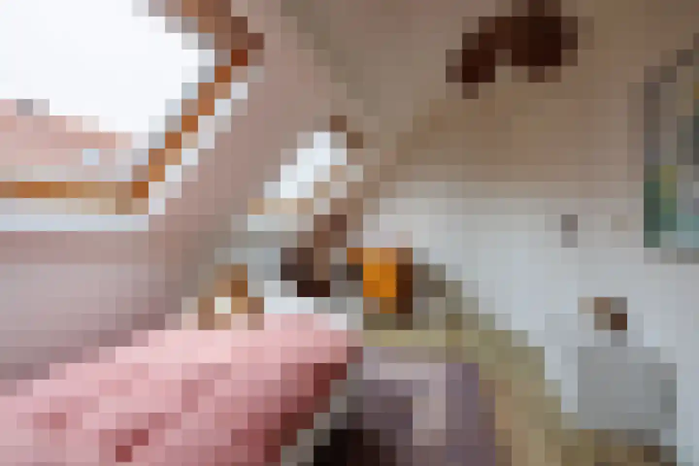 Bentincklaan 22 Leersum thumbnail 36