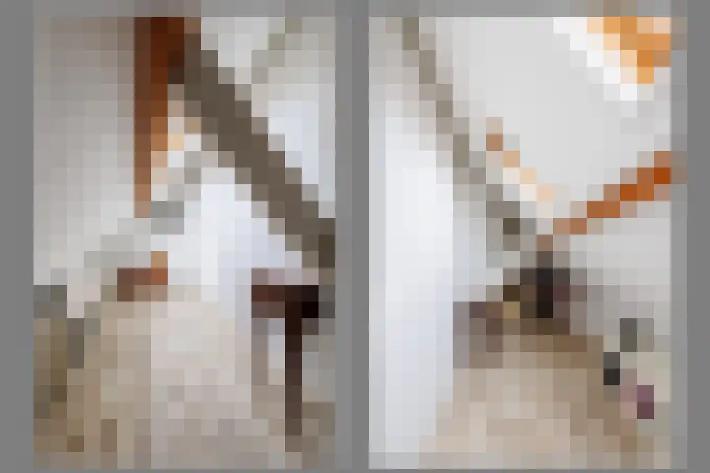 Bentincklaan 22 Leersum thumbnail 39
