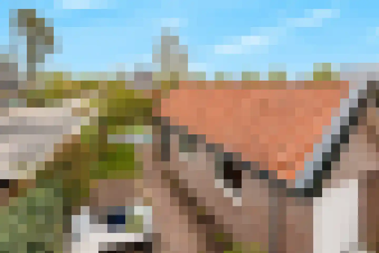 Bentincklaan 22 Leersum thumbnail 46
