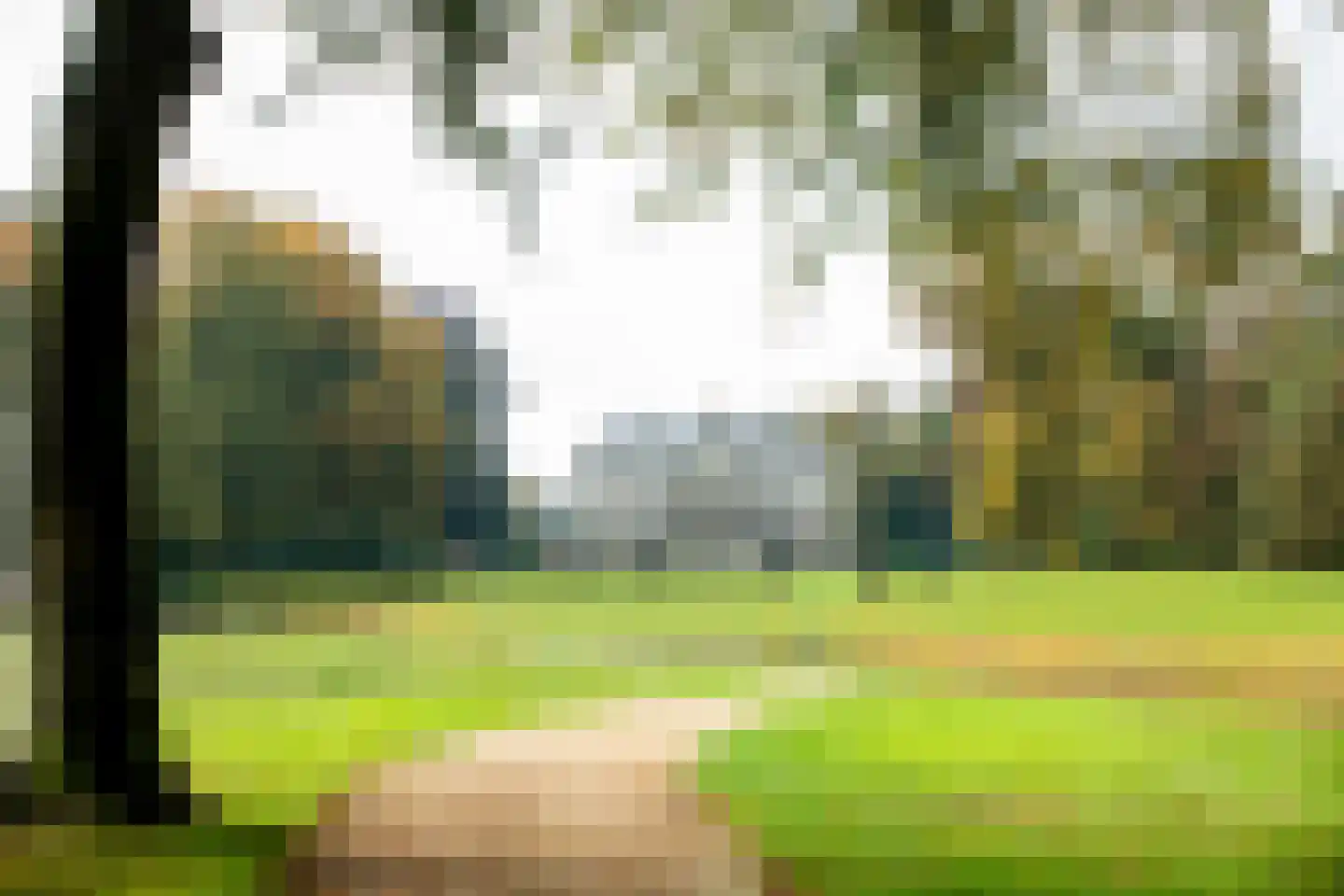 Bentincklaan 22 Leersum thumbnail 60