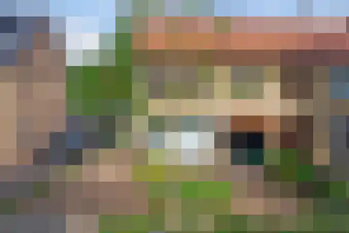 Bentincklaan 25 Leersum