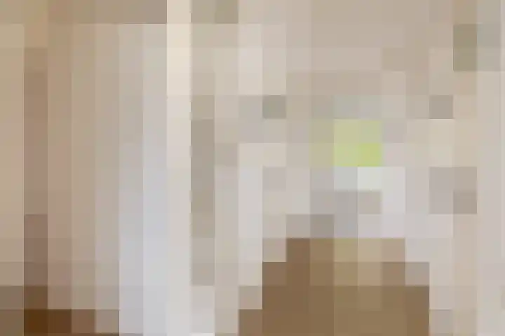 Bentincklaan 27 A Rotterdam thumbnail 16
