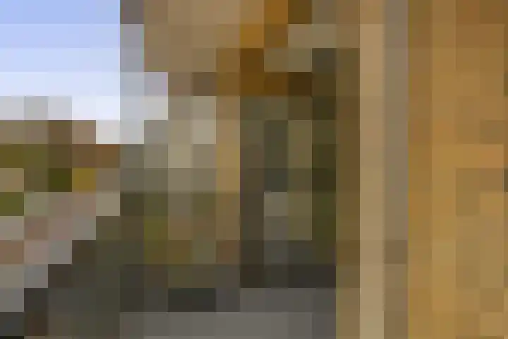 Bentincklaan 27 A Rotterdam thumbnail 29
