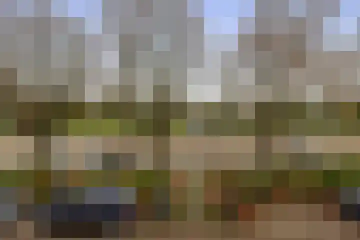 Bentincklaan 27 A Rotterdam thumbnail 30
