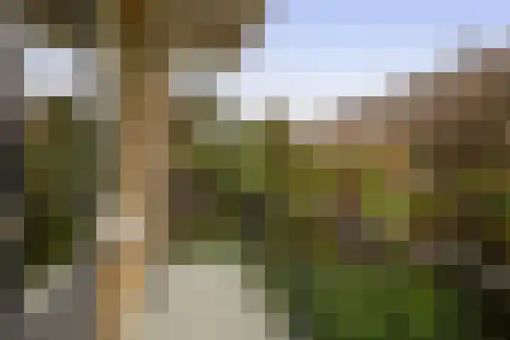 Bentincklaan 27 A Rotterdam thumbnail 31