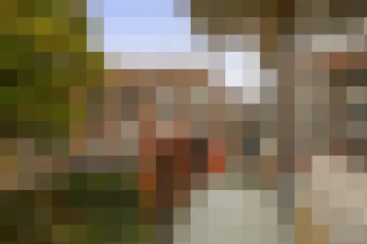 Bentincklaan 27 A Rotterdam thumbnail 32
