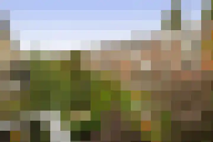 Bentincklaan 27 A Rotterdam thumbnail 34
