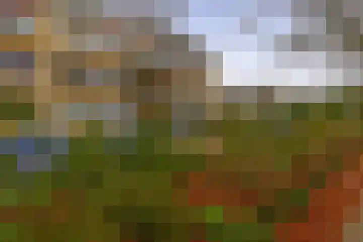 Bentincklaan 27 A Rotterdam thumbnail 7